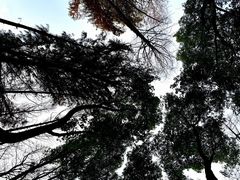 -蠡湖大桥公园