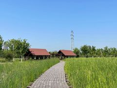 -永定河休闲森林公园