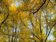 -四川大学(华西校区)