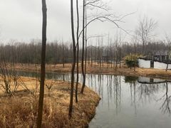 -溱湖国家湿地公园