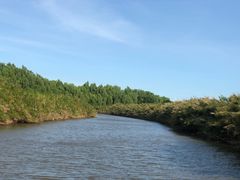 -大湾区中央湿地公园