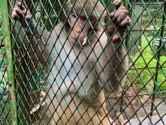 -藏龙百瀑风景区