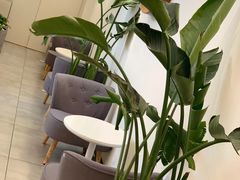 -树夏(金楠天街店)