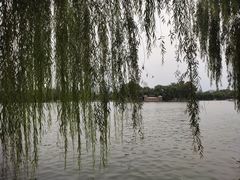 -济南大明湖景区