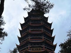 -金水泊山庄·花椒鸡(铁山坪店)