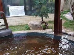 -金穗园温泉酒店