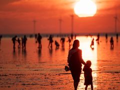 -南汇嘴观海公园