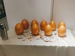 -能力风暴机器人编程中心