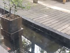 -旅马餐厅(茅家埠店)