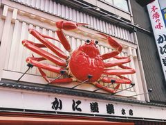 -蟹道乐(道顿堀本店)