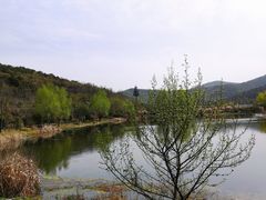-石塘人家