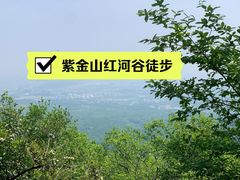 -紫金山山顶公园