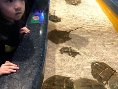 -瑞普利水族馆