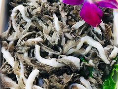 牛百叶-三头牛·潮汕牛肉生蚝火锅 (夏湾店)