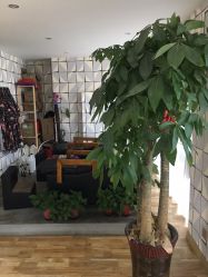 -明洞造型精品烫染