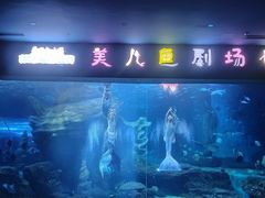 -多彩贵州城极地海洋世界