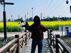 -桤木河湿地公园