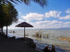 -捞渔河湿地公园