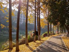 -杭州师范大学(下沙校区)