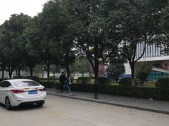 -南京理工大学紫金学院