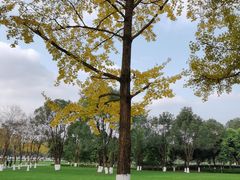 -重庆中央公园(渝北区)