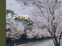 -高东镇樱花园