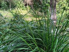 -祥源·阜阳生态乐园