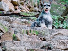 -北京密云天门山风景区