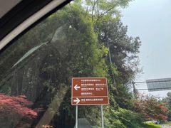 -铁山坪森林公园