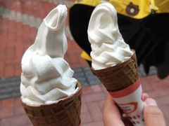 -富豪雪糕车流动点(尖沙咀店)