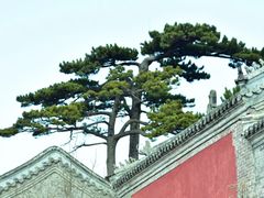 -妙峰山风景名胜区