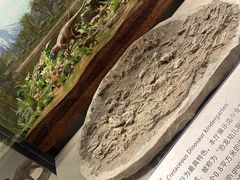 -辽宁古生物博物馆