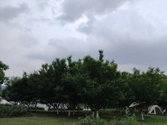 -天鹅湖体育公园