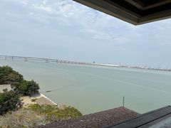 -大湾区中央湿地公园