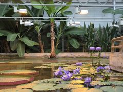 -国家植物园南园