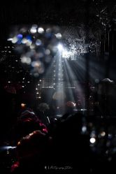 -喜临门婚宴广场·宴会厅