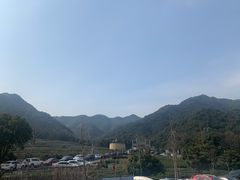 -听风阁农家私房菜茶楼(龙坞店)