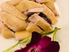 -白云中餐厅·粤菜·亚龙湾喜来登度假酒店