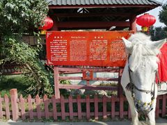 -郫都区农科村景区