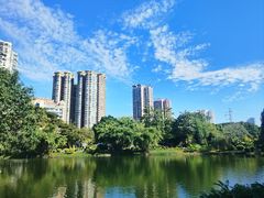 -晓港公园