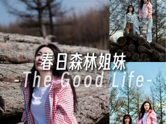 -红山国家森林公园