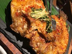 -云海肴·汽锅鸡·云南菜(天山百盛优客店)