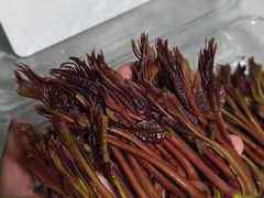 -山姆会员商店(杨桥西路店)