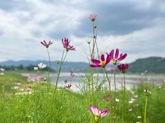 -木洞河街