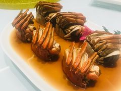 -蝶园·装修中(BFC外滩金融中心店)