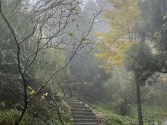 -南岳衡山风景名胜区