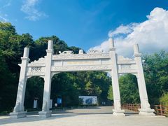 -羚羊峡古栈道森林公园