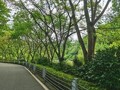 -重庆园博园