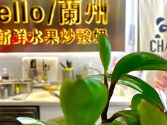 -CHAO'S艾炒酸奶·冰糖葫芦(兰州中心店)