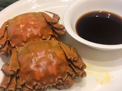 -中苑海韵